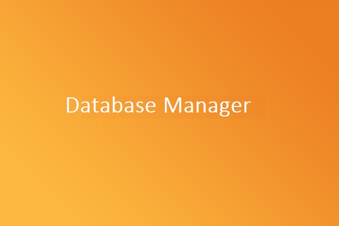 Database Manager